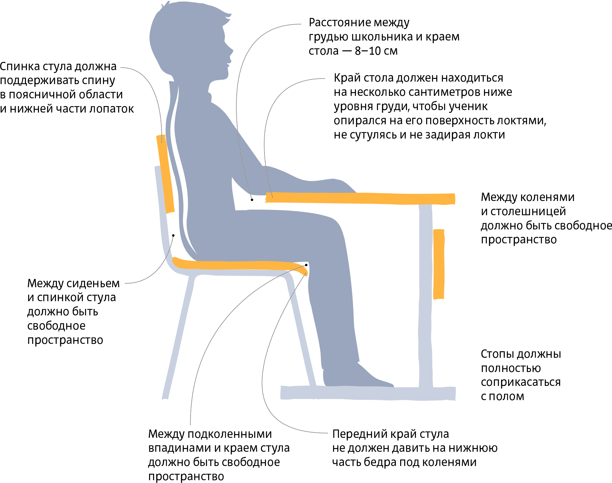 Как выбрать стул для первоклассника? 2