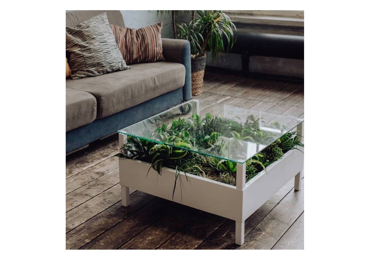 Журнальный столик с натуральными растениями wowbotanica белый 70x40x70 см. preview 1